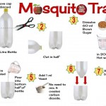 mosquito-trap-infogram (Homemade Mosquito Traps)