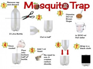 mosquito-trap-infogram