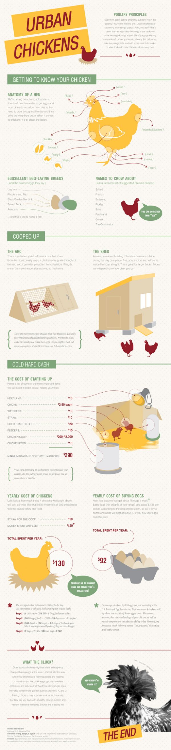 How much do those Chickens Cost/Earn? JNRfarmS.us